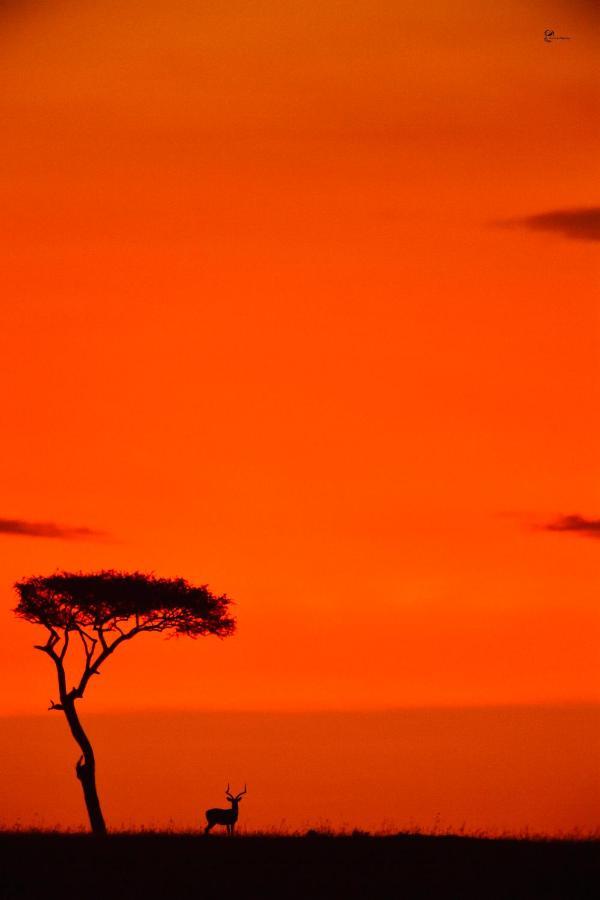 Narok Lorian Safari Camp Limited酒店 外观 照片