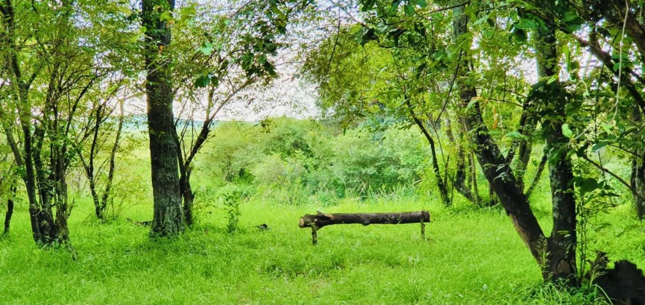 Narok Lorian Safari Camp Limited酒店 外观 照片